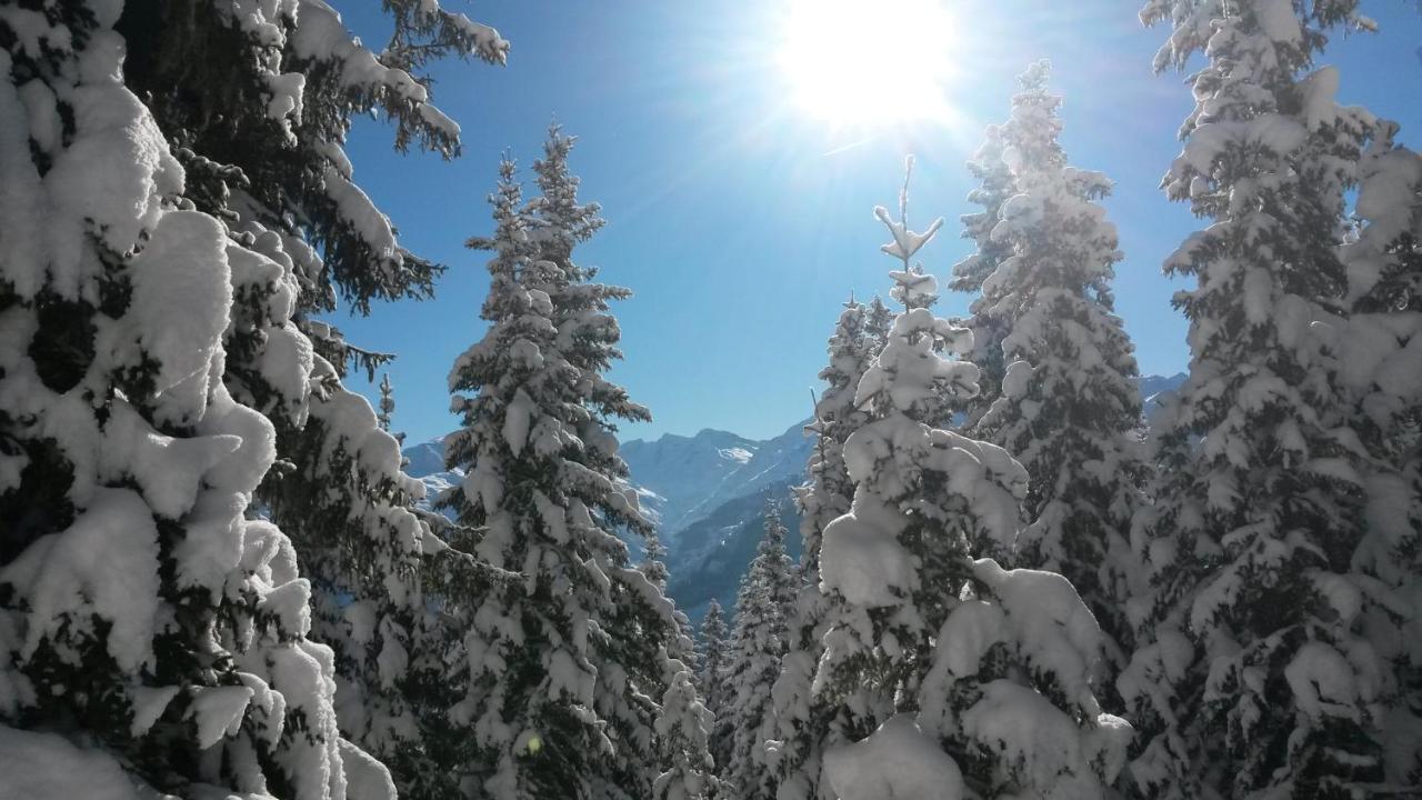 Haus Renswouw Hotel Hollersbach im Pinzgau Eksteriør billede