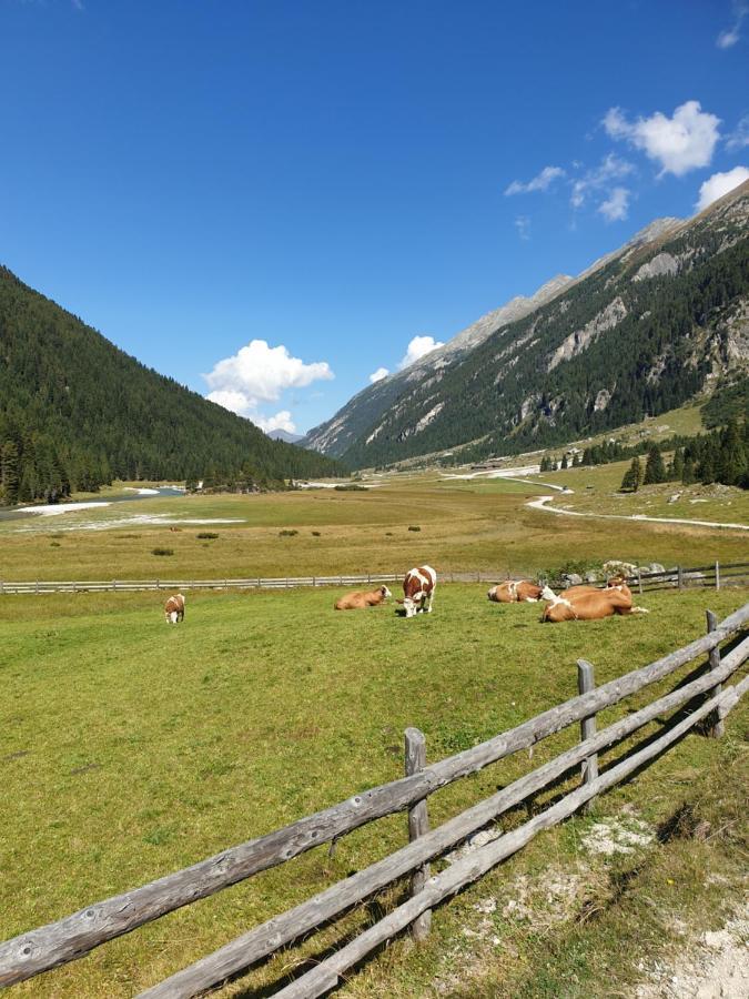 Haus Renswouw Hotel Hollersbach im Pinzgau Eksteriør billede