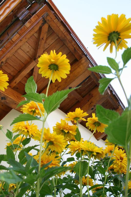 Haus Renswouw Hotel Hollersbach im Pinzgau Eksteriør billede